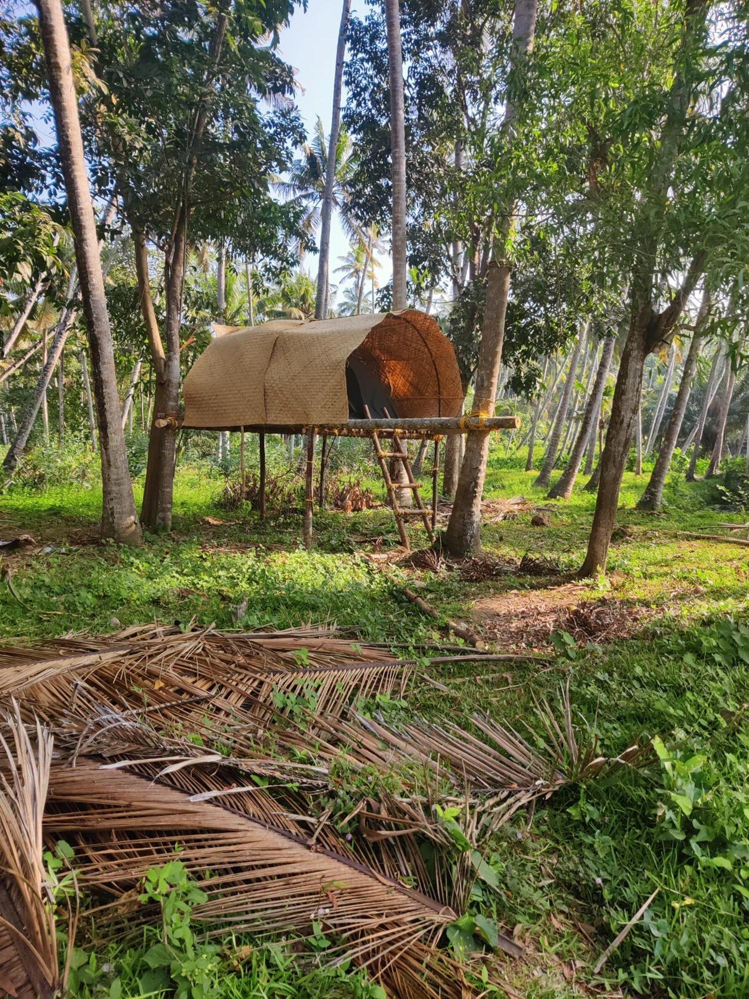 Апартаменты The Temple Tree Варкала Номер фото